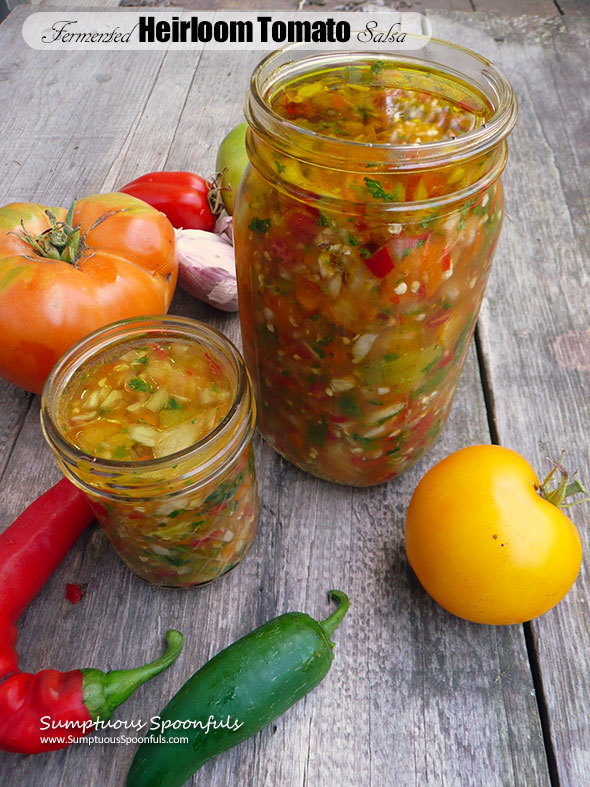 Fermented Heirloom Tomato Salsa ~ Sumptuous Spoonfuls #fermented #salsa #recipe #superhealthy