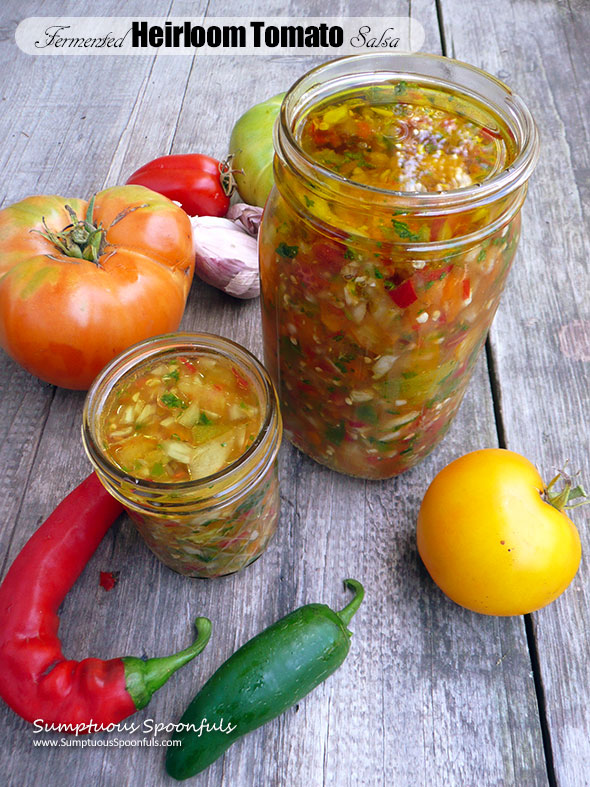 Fermented Heirloom Tomato Salsa ~ Sumptuous Spoonfuls #fermented #salsa #recipe #superhealthy