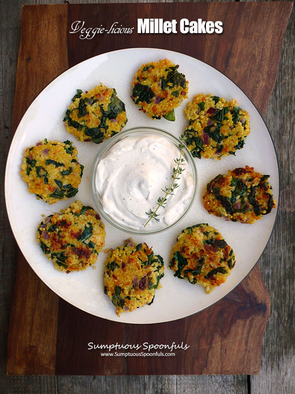 Veggie-licious Millet Cakes & Natural Baby Food Cookbook Review ~ Sumptuous Spoonfuls & The Foodie Physician #cookbook #review #milletcakes #kidfood