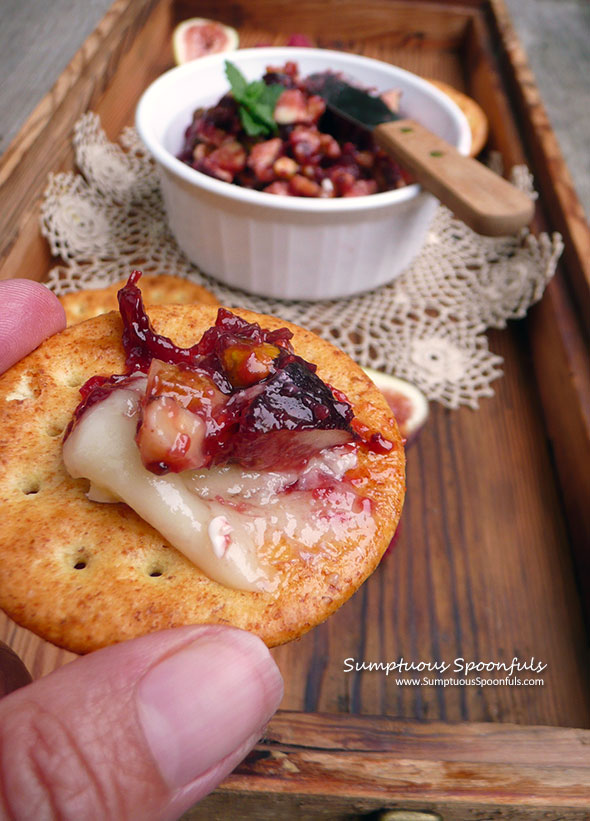 Baked Brie with Figs, Pistachios & Walnuts ~ Sumptuous Spoonfuls #quick #easy #appetizer #recipe