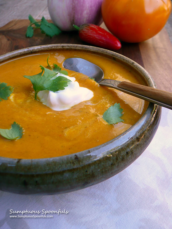 Cardamom Curry Eggplant Tomato Soup ~ Sumptuous Spoonfuls #hearty #healthy #spicy #soup #recipe