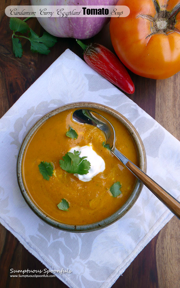 Cardamom Curry Eggplant Tomato Soup ~ Sumptuous Spoonfuls #hearty #healthy #spicy #soup #recipe