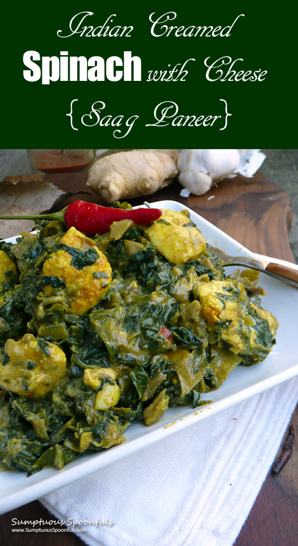 Indian Creamed Spinach w Cheese (Saag Paneer) ~ Sumptuous Spoonfuls #Indian #spinach #recipe