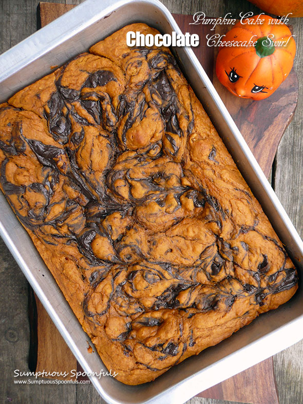 Pumpkin Cake with Chocolate Cheesecake Swirl ~ Sumptuous Spoonfuls #Choctoberfest #recipe