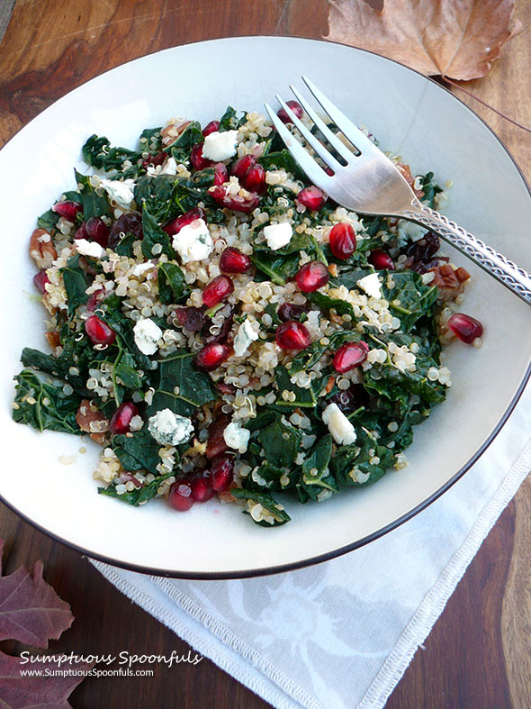 Cranberry Kale Quinoa Salad ~ Sumptuous Spoonfuls #holiday #salad #recipe