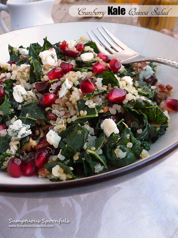 Cranberry Kale Quinoa Salad ~ Sumptuous Spoonfuls #holiday #salad #recipe