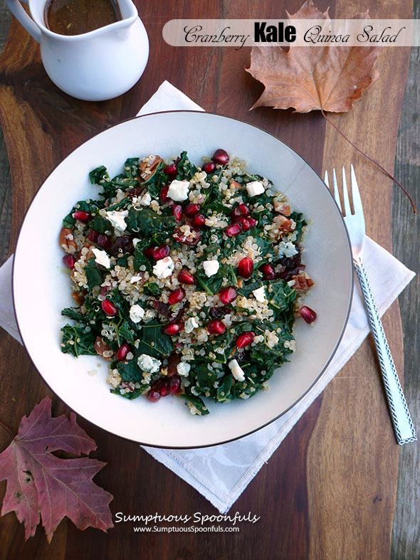 Cranberry Kale Quinoa Salad ~ Sumptuous Spoonfuls #holiday #salad #recipe