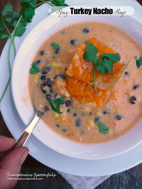 Spicy Turkey Nacho Soup ~ Sumptuous Spoonfuls #cheesy #Mexican #soup #recipe