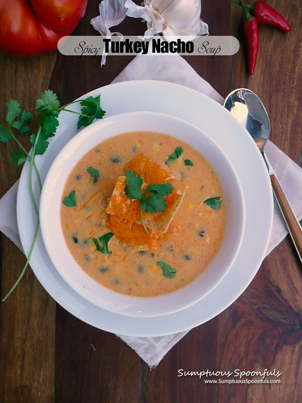 Spicy Turkey Nacho Soup ~ Sumptuous Spoonfuls #cheesy #Mexican #soup #recipe