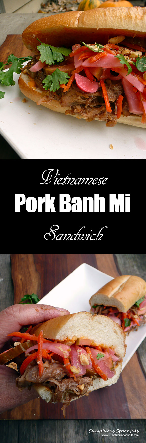 Vietnamese Pork Banh Mi Sandwiches ~ Sumptuous Spoonfuls #Asian #Pork #Sandwich #recipe