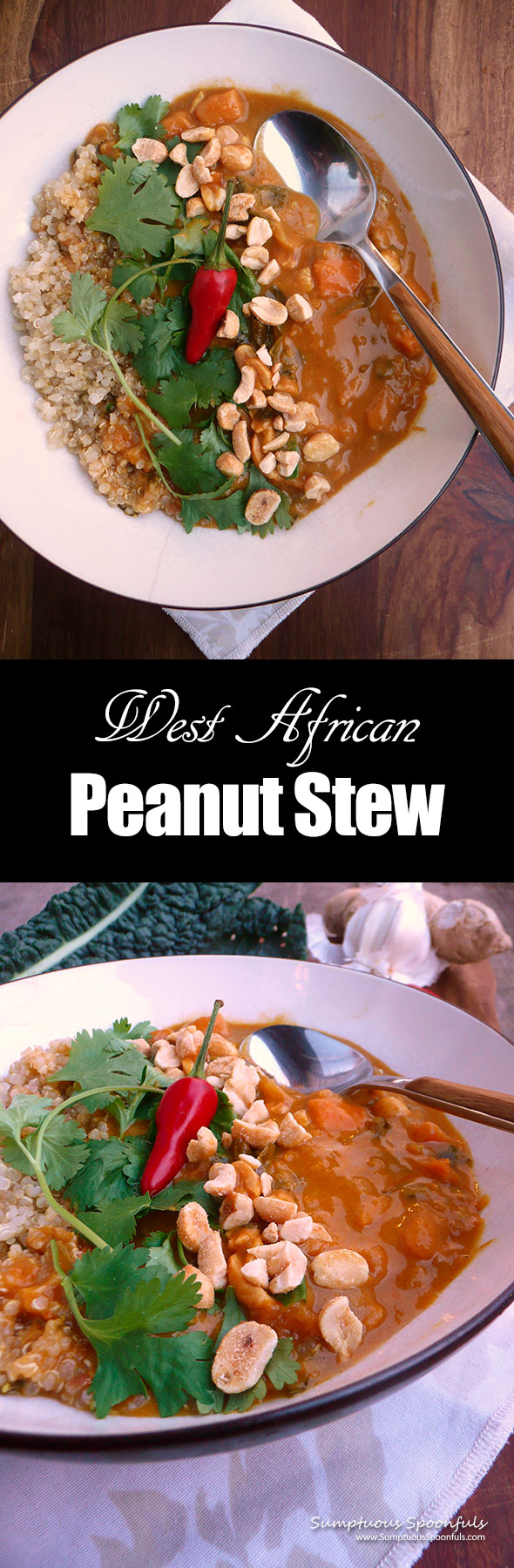 West African Peanut Stew ~ Sumptuous Spoonfuls #spicy #vegetarian #stew #recipe