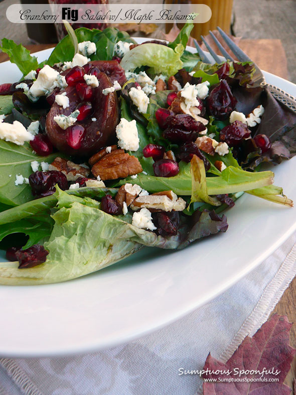 Cranberry Fig Salad with Pomegranate, Blue Cheese Crumbles, Toasted Pecans and Balsamic Vinaigrette ~ Sumptuous Spoonfuls #holiday #salad #recipe