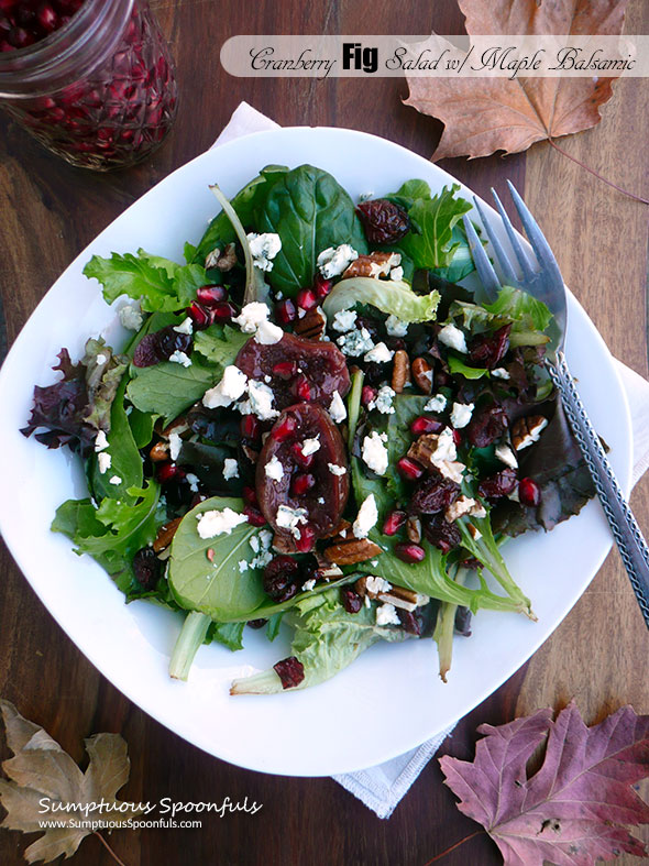 Cranberry Fig Salad with Pomegranate, Blue Cheese Crumbles, Toasted Pecans and Balsamic Vinaigrette ~ Sumptuous Spoonfuls #holiday #salad #recipe