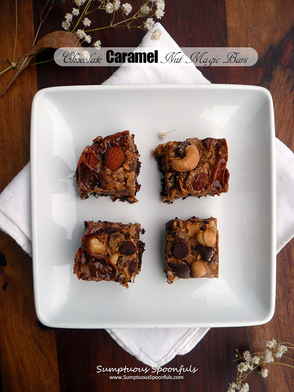 Chocolate Caramel Nut Magic Bars ~ Sumptuous Spoonfuls #orgasmic #chewy #layer #bars #recipe