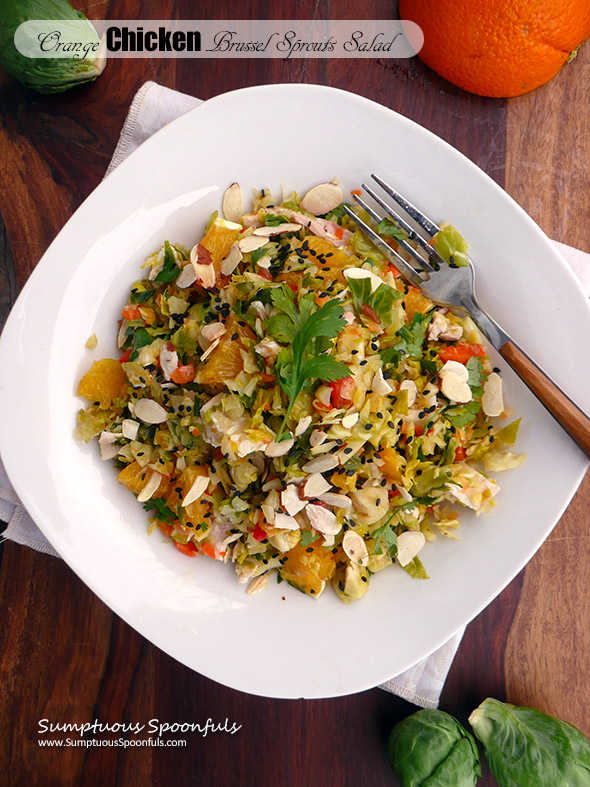 Asian Orange Chicken Brussel Sprouts Salad ~ Sumptuous Spoonfuls #chinese #chicken #salad #recipe