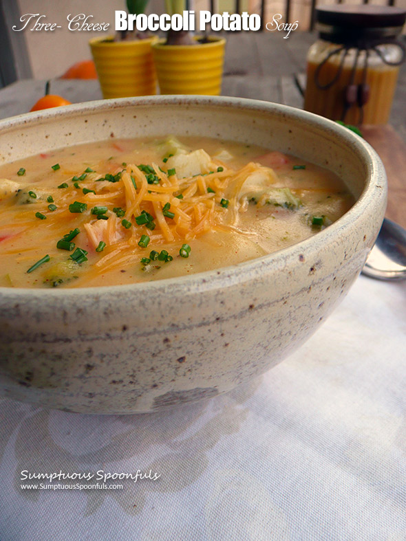 Three Cheese Broccoli Potato Soup ~ Sumptuous Spoonfuls #broccoli #potato #soup #recipe