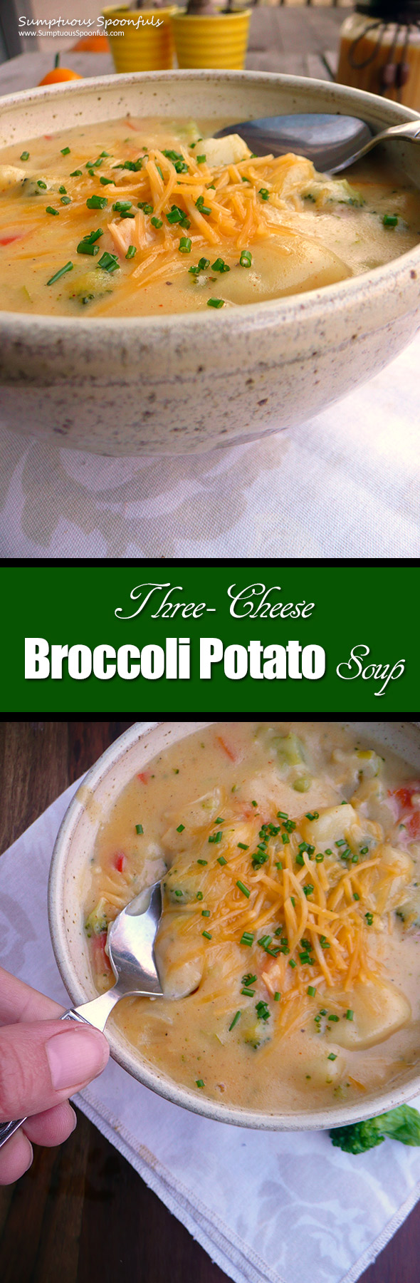 Three Cheese Broccoli Potato Soup ~ Sumptuous Spoonfuls #broccoli #potato #soup #recipe