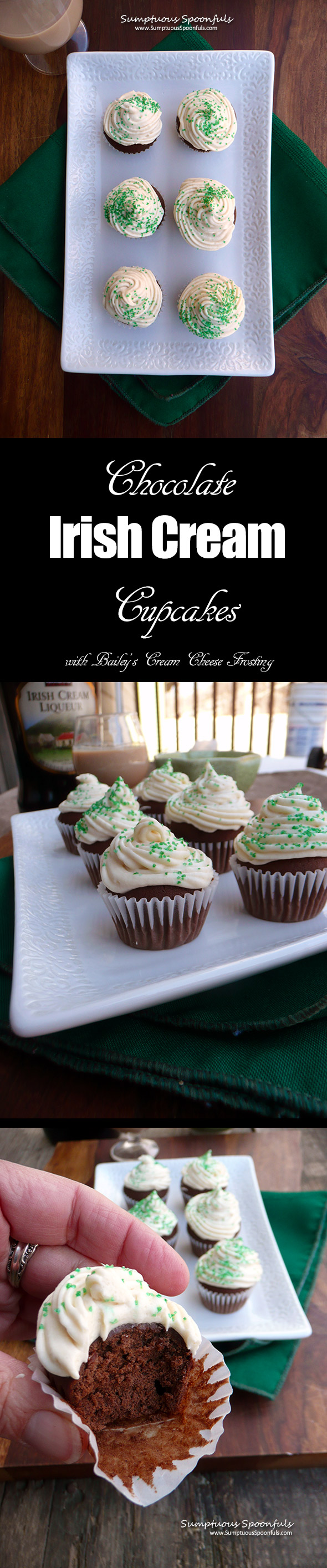 Chocolate Irish Cream Mini Cupcakes with Bailey's Cream Cheese Frosting ~ Sumptuous Spoonfuls #Irish #cake #recipe #StPatricksDay