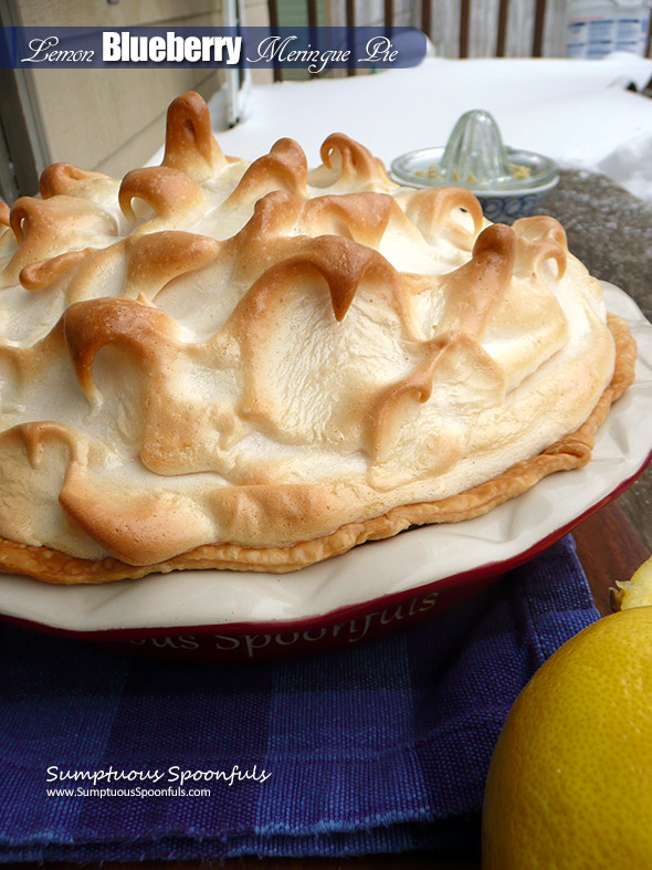 Lemon Blueberry Meringue Pie ~ Sumptuous Spoonfuls #pie #recipe #Pi #PiDay
