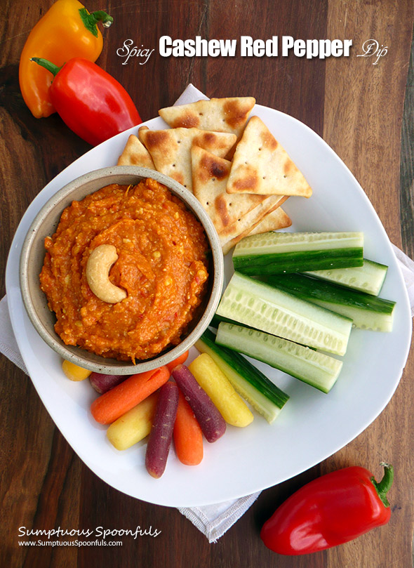 Spicy Cashew Red Pepper Dip ~ Sumptuous Spoonfuls #healthy #hot #pepper #dip #recipe