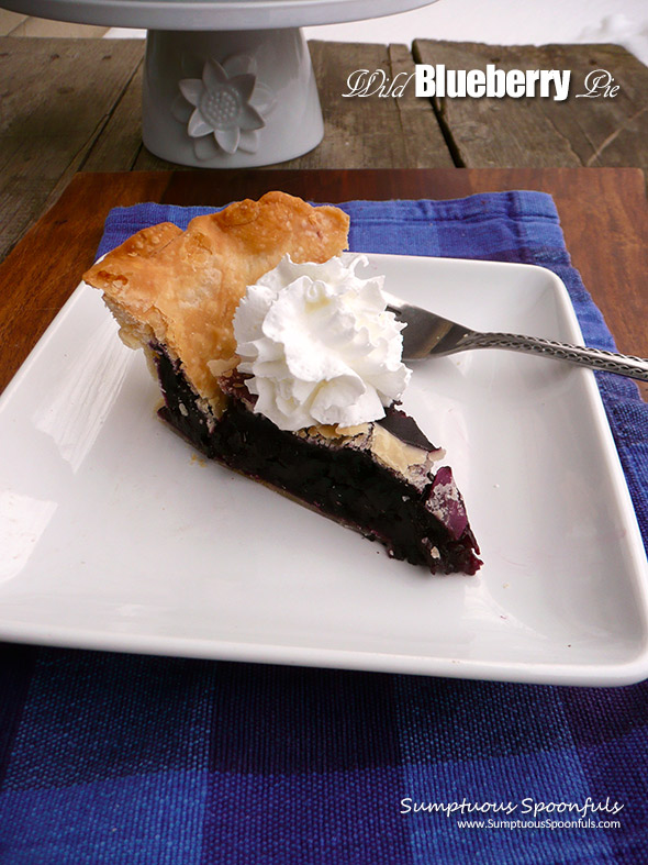 Wild Blueberry Pie | Sumptuous Spoonfuls