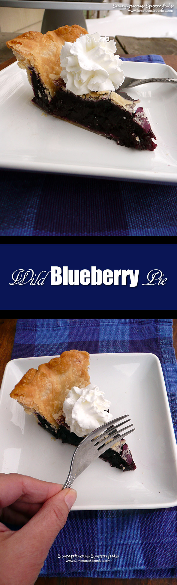 Wild Blueberry Pie ~ Sumptuous Spoonfuls #dessert #recipe