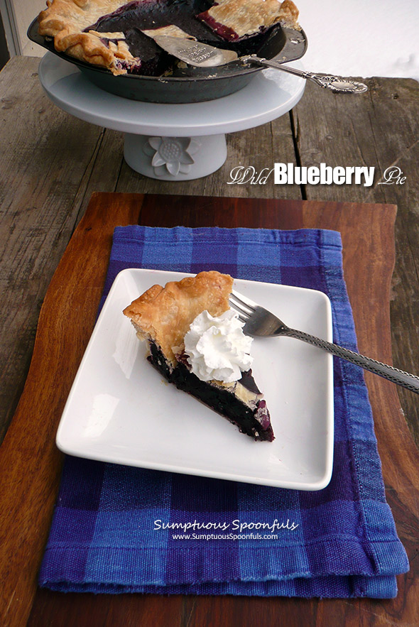 Wild Blueberry Pie ~ Sumptuous Spoonfuls #dessert #recipe