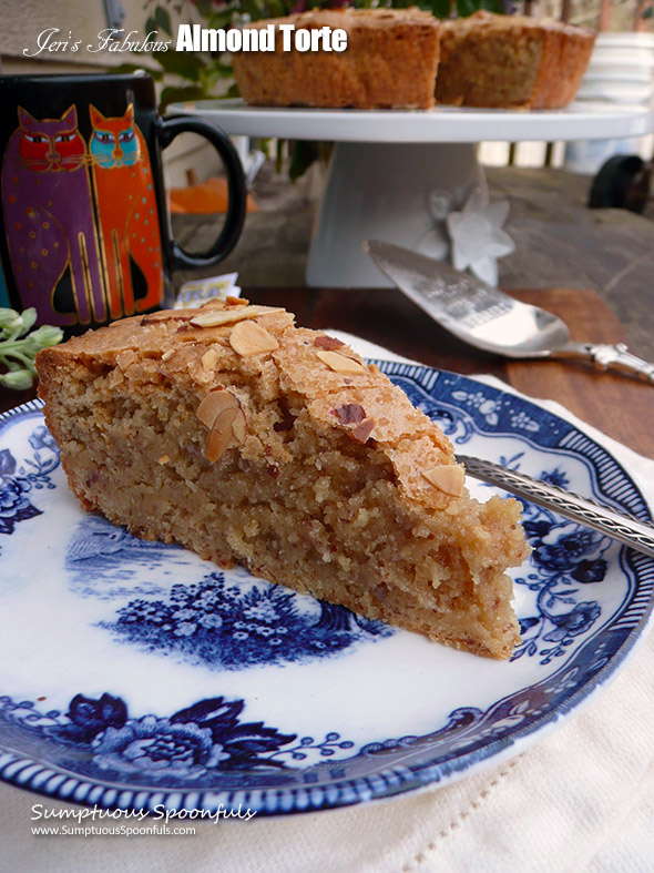 Jeri's Fabulous Almond Torte ~ Sumptuous Spoonfuls #easy #almond #dessert #recipe