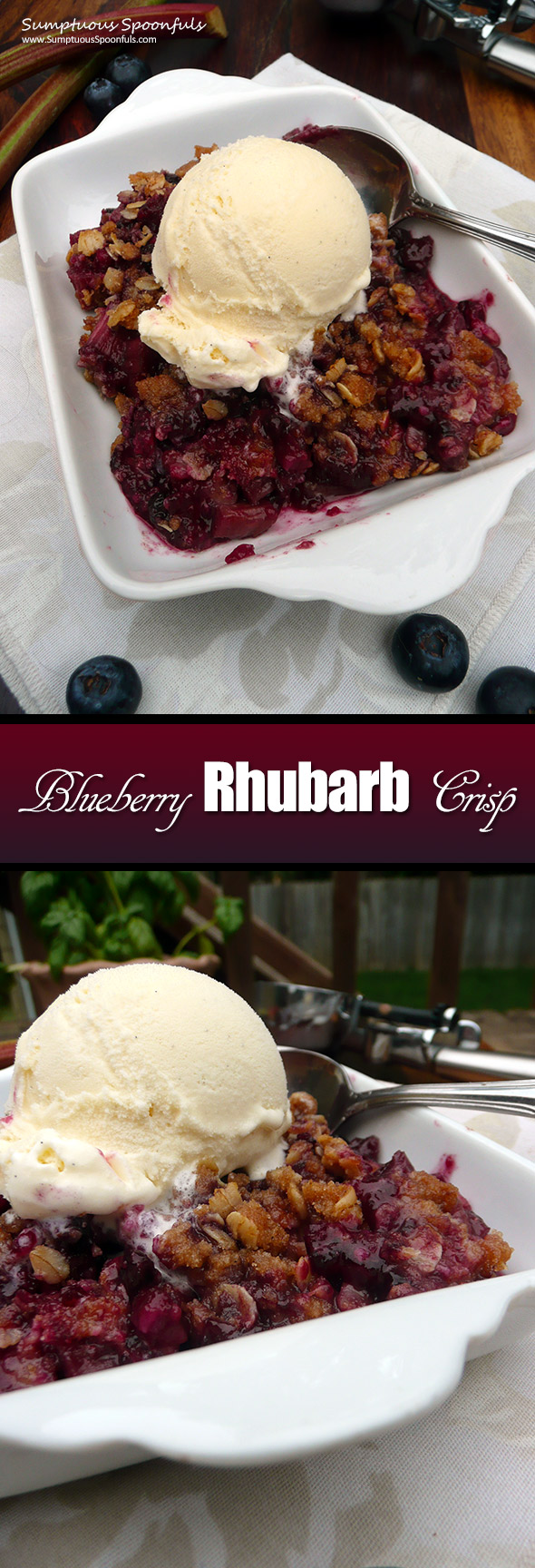 Blueberry Rhubarb Crisp ~ Sumptuous Spoonfuls #easy #blueberry #rhubarb #dessert #recipe