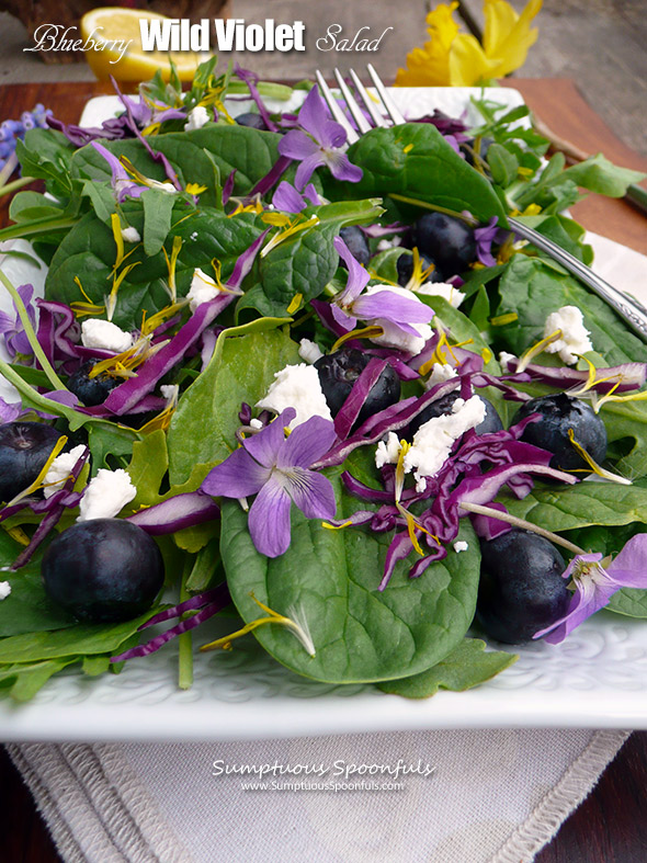 Blueberry Wild Violet Salad ~ Sumptuous Spoonfuls #purple #spring #salad #recipe