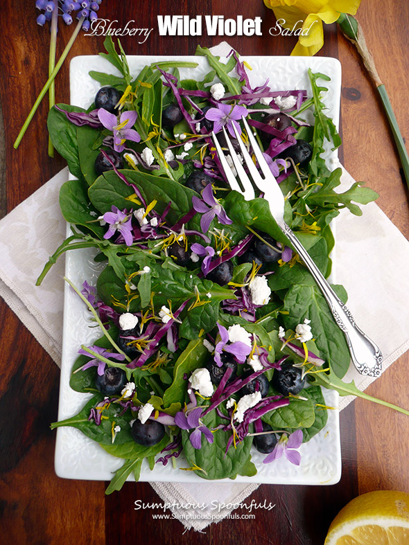 Blueberry Wild Violet Salad ~ Sumptuous Spoonfuls #purple #spring #salad #recipe