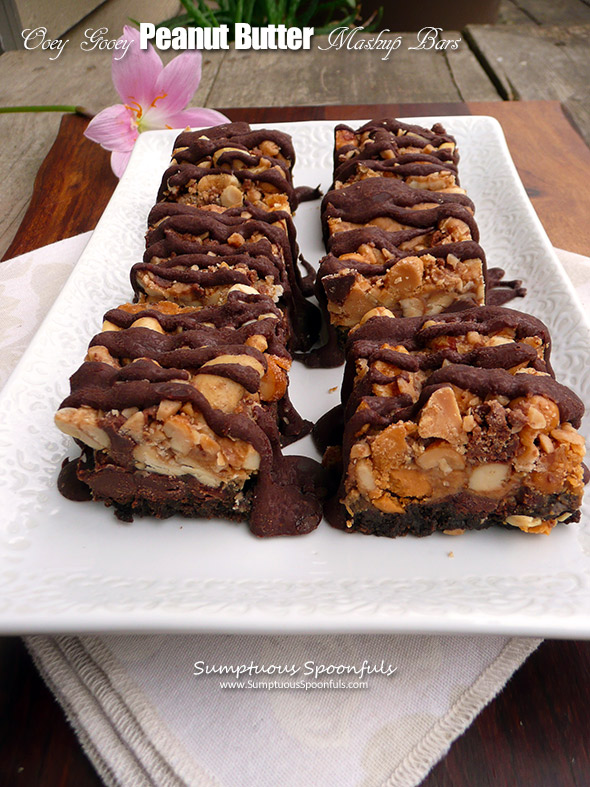 Kyr's Oooey Gooey Peanut Butter Mashup Bars ~ Sumptuous Spoonfuls #decadent #easy #chocolate #PB #recipe