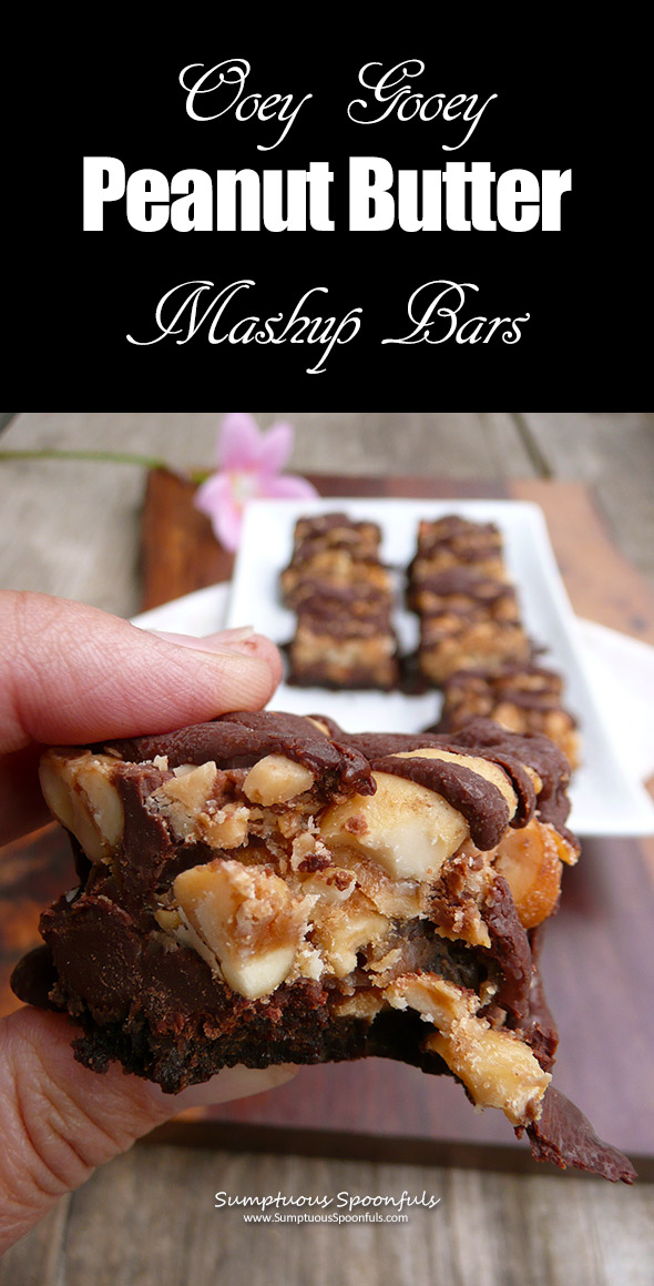Kyr's Oooey Gooey Peanut Butter Mashup Bars ~ Sumptuous Spoonfuls #decadent #easy #chocolate #PB #recipe
