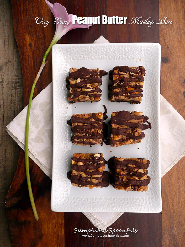 Kyr's Oooey Gooey Peanut Butter Mashup Bars ~ Sumptuous Spoonfuls #decadent #easy #chocolate #PB #recipe