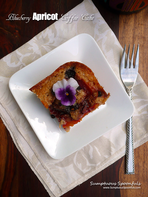Blueberry Apricot Coffee Cake ~ Sumptuous Spoonfuls #easy #breakfast #cake #recipe