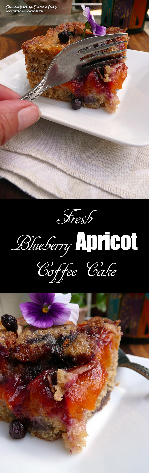 Blueberry Apricot Coffee Cake ~ Sumptuous Spoonfuls #easy #breakfast #cake #recipe