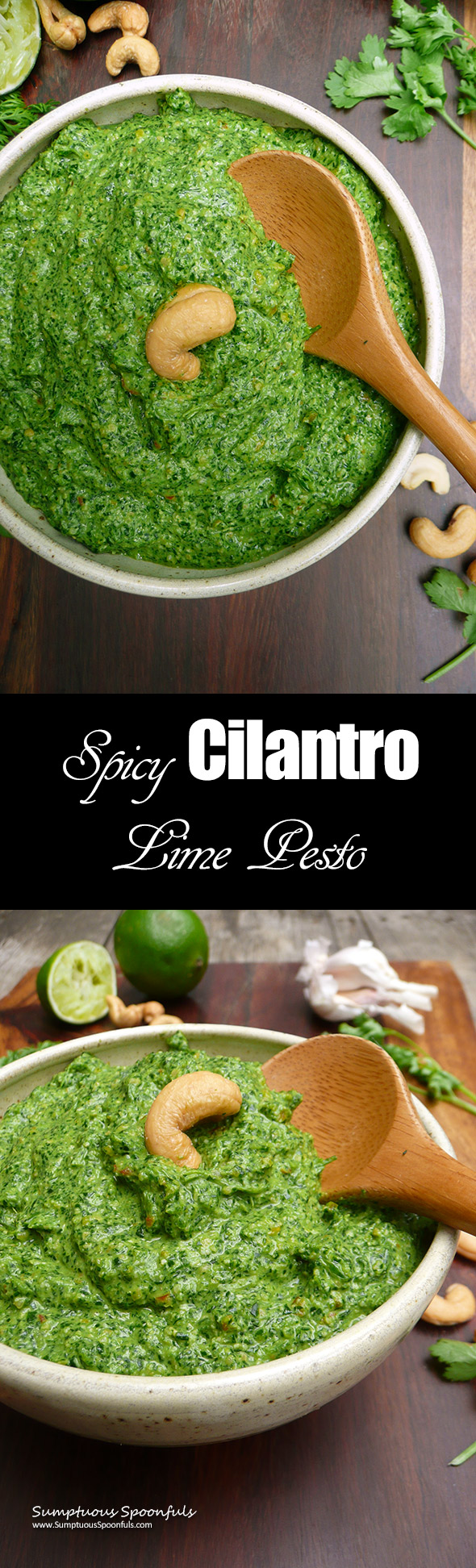 Spicy Cilantro Lime Pesto with Cashews ~ Sumptuous Spoonfuls #cilantro #pesto #recipe