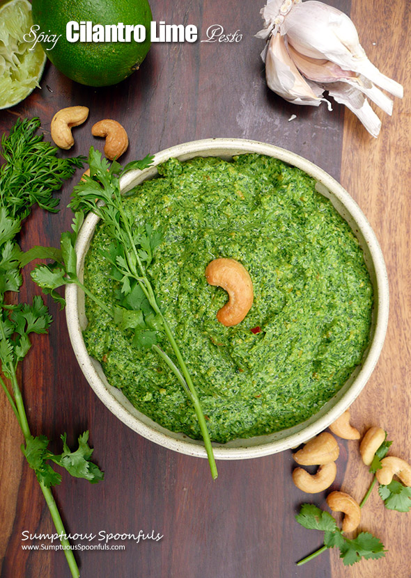 Spicy Cilantro Lime Pesto with Cashews ~ Sumptuous Spoonfuls #cilantro #pesto #recipe