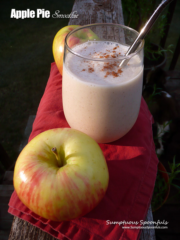 Apple Pie Smoothie ~ Sumptuous Spoonfuls #apple #pie #smoothie