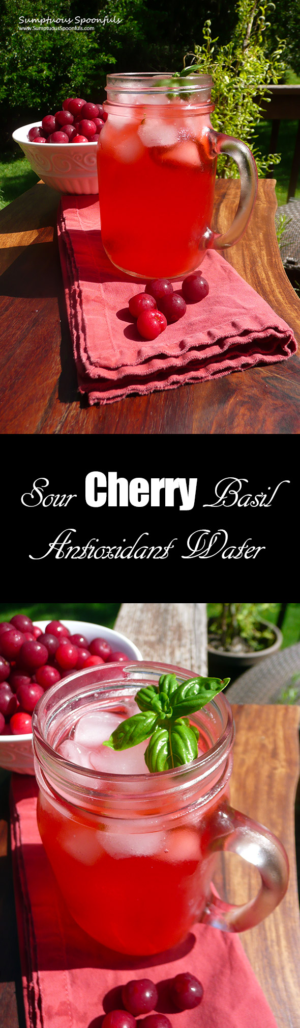 Sour Cherry Basil Antioxidant Water ~ Sumptuous Spoonfuls #homemade #flavored #water #recipe