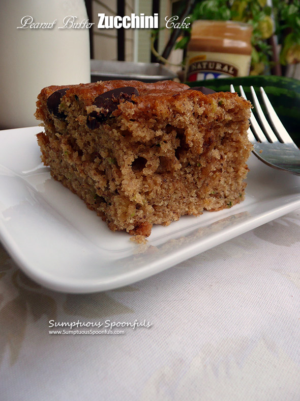 Peanut-Butter-Zucchini-Cake-2