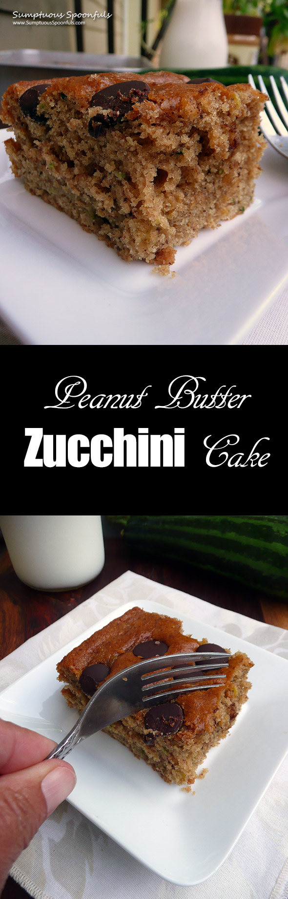 Peanut-Butter-Zucchini-Cake-4