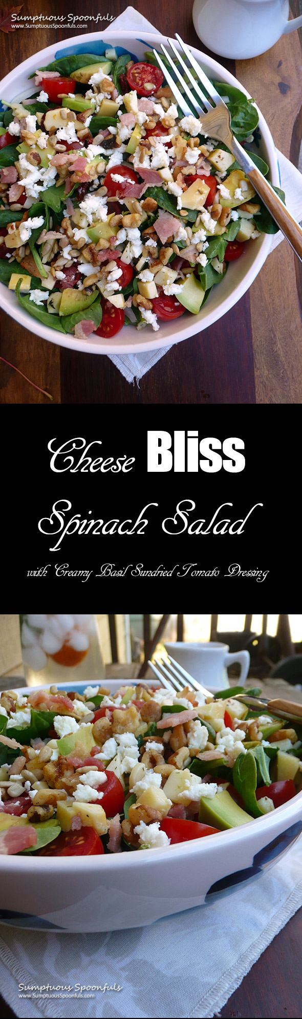 Cheese Bliss Spinach Salad ~ Marinated cheeses on a bed of fresh spinach with avocado, onion, fresh tomato, toasted walnuts, bacon (optional) and a basil sun dried tomato dressing. It''s pure bliss in salad form!