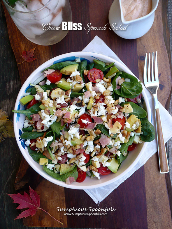 Cheese Bliss Spinach Salad ~ Marinated cheeses on a bed of fresh spinach with avocado, onion, fresh tomato, toasted walnuts, bacon (optional) and a basil sun dried tomato dressing. It''s pure bliss in salad form!