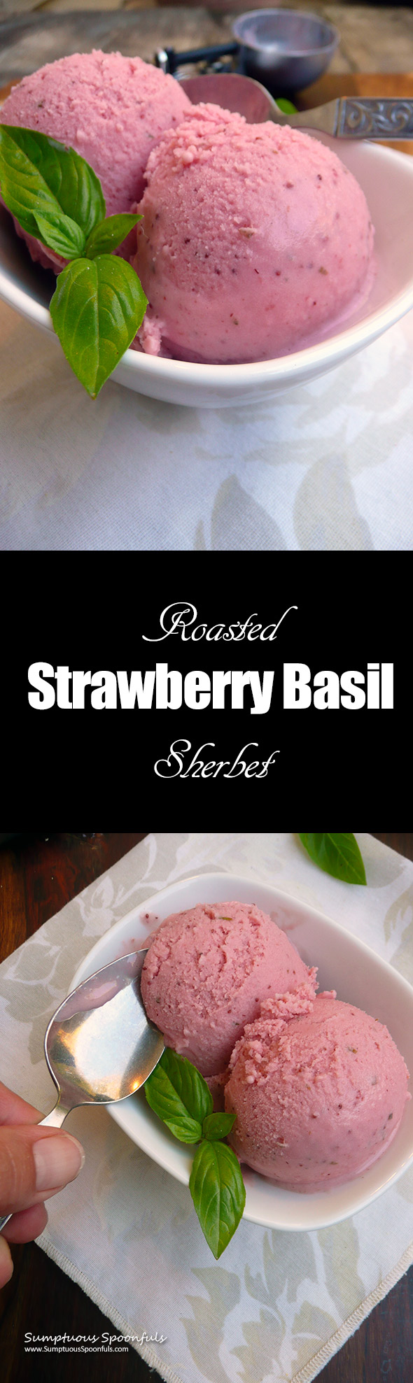 Roasted Strawberry Basil Sherbet ~ Sumptuous Spoonfuls #homemade #sherbet #recipe