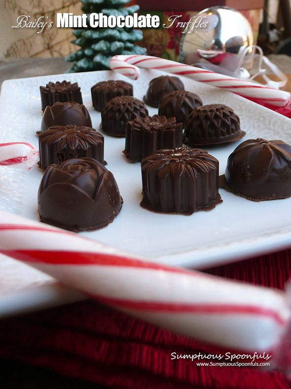 Bailey's Mint Chocolate Truffles ~ Sumptuous Spoonfuls #mint #chocolate #truffles