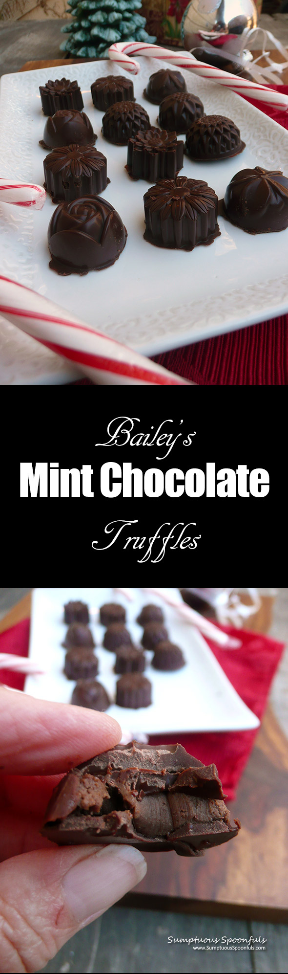 Bailey's Mint Chocolate Truffles ~ Sumptuous Spoonfuls #mint #chocolate #truffles