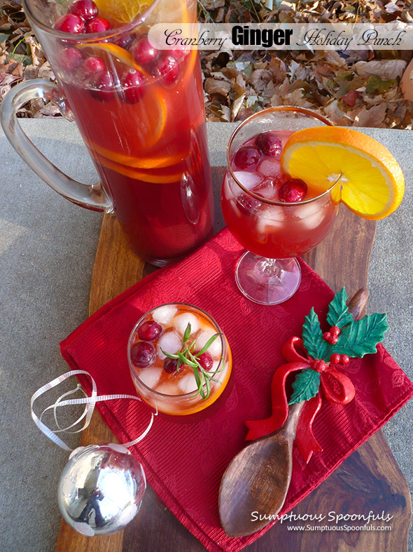 Cranberry Ginger Holiday Punch ~ Sumptuous Spoonfuls #refreshing #holiday #punch #recipe