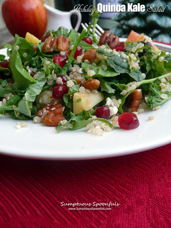 Holiday Quinoa Kale Salad ~ Sumptuous Spoonfuls #holiday #salad #recipe