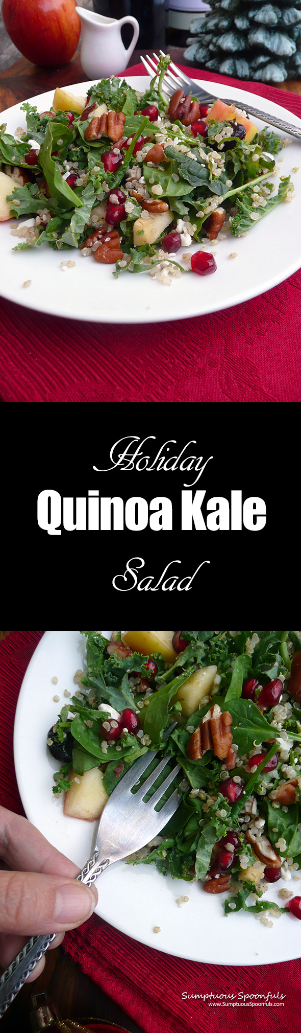 Holiday Quinoa Kale Salad ~ Sumptuous Spoonfuls #holiday #salad #recipe